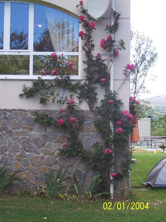Hotel La Mora Villaseca de Laciana Bagian luar foto