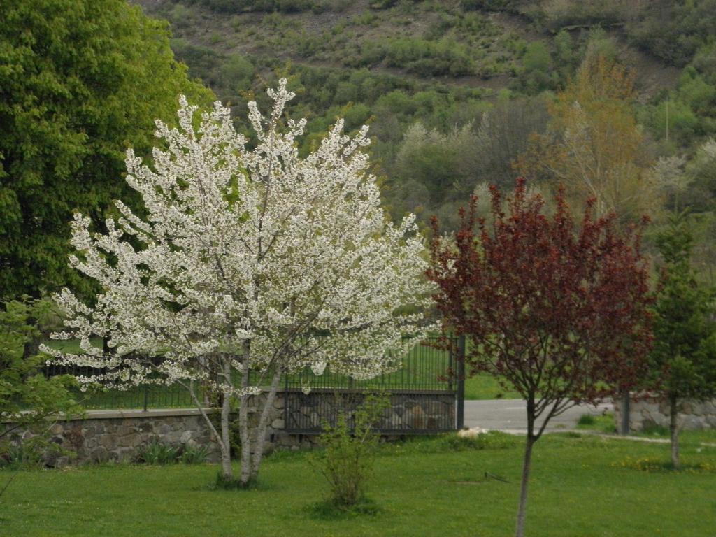 Hotel La Mora Villaseca de Laciana Bagian luar foto